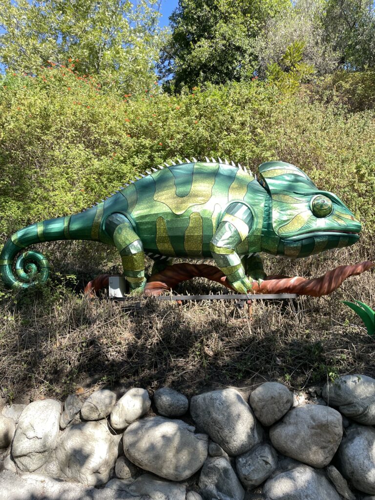 LA zoo lightshow, autism tourism
