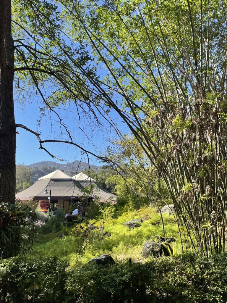 LA Zoo greenery, autistic tourism
