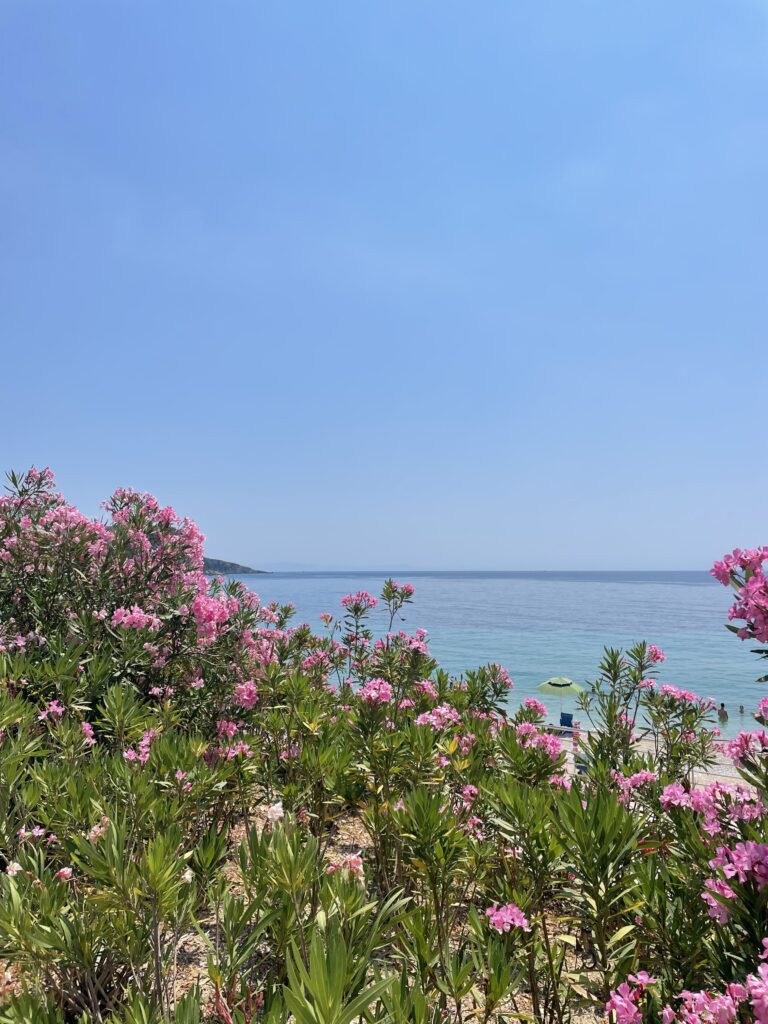 Albanian Riviera wildlife, autism inclusive