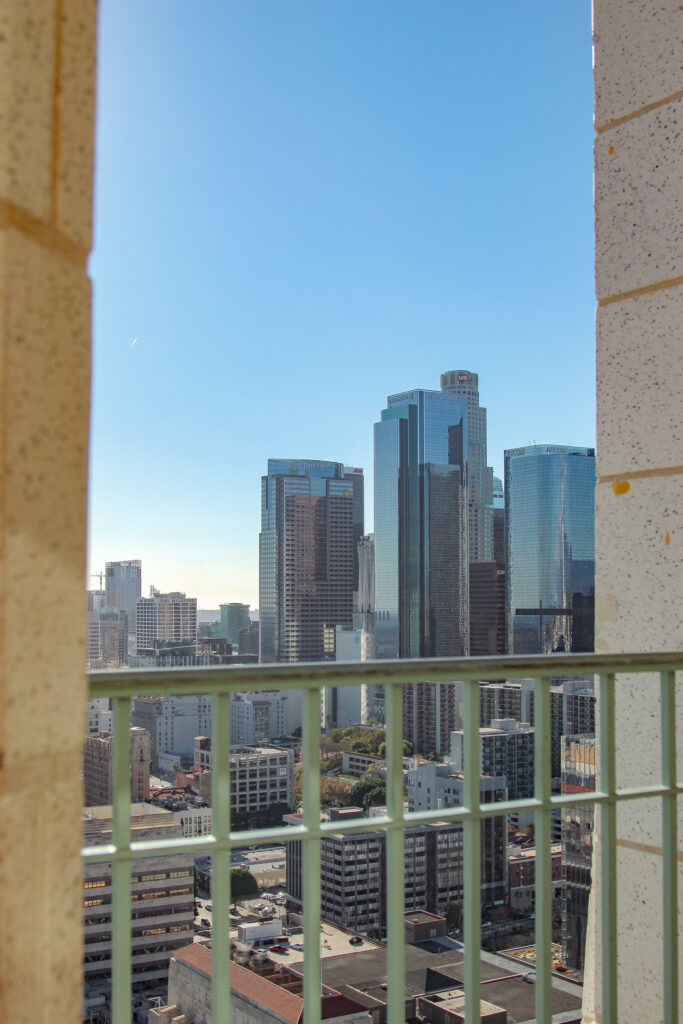 Downtown LA view, LA City Hall, autism advisor