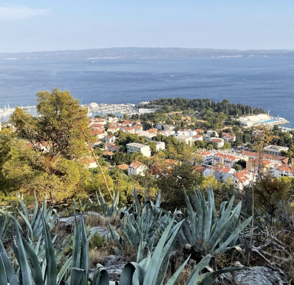 Split elevated view, autism consultancy, tourism advice