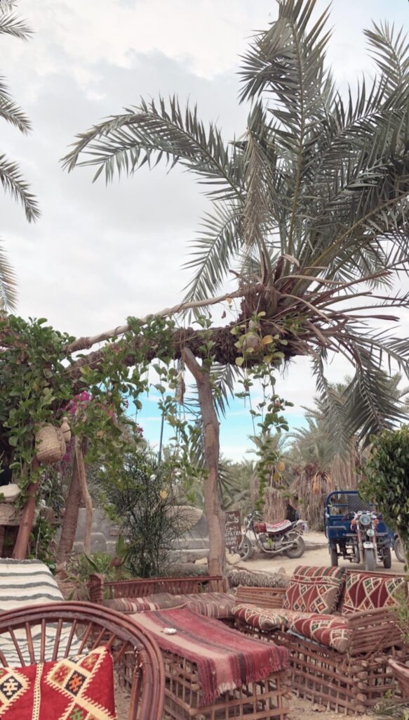 Siwa oasis, autism, neurodiversity