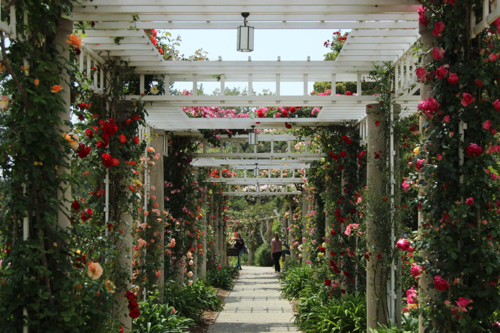 The Huntington Collection & Botanical Gardens, California accessibility, autistic tourism