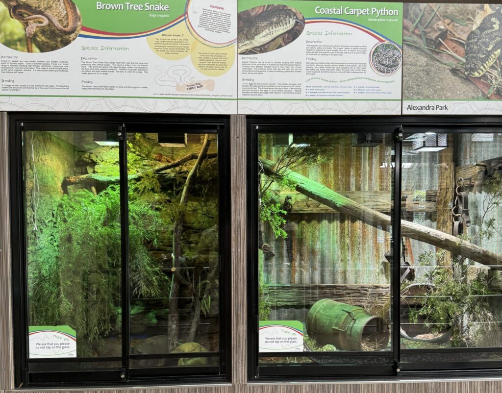 Bundaberg travel guide, off-the-beaten-path Queensland, autistic accessible travel Australia